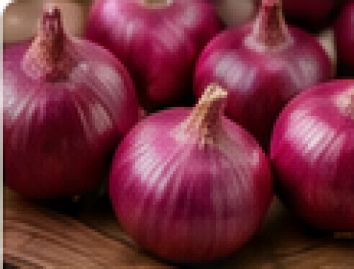 Premium Red Onion (45mm - 60mm)