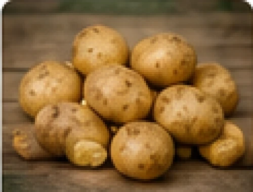 Fresh Jyoti Table Potato